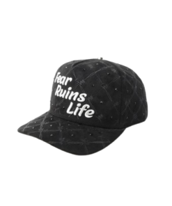 Alternative view of Fear Ruins Life