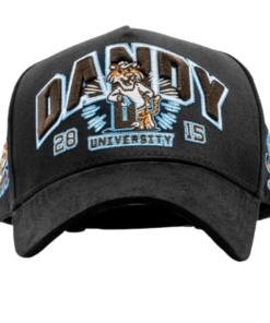 Dandy University Snapback Hat