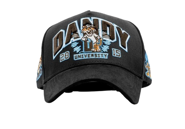 Dandy University Snapback Hat