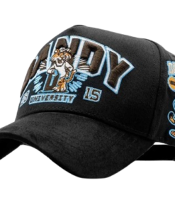 Alternative view of Dandy University Snapback Hat