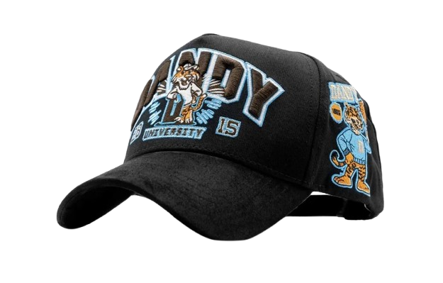 Dandy University Snapback Hat - Image 2