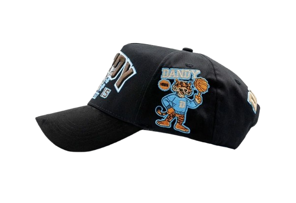 Dandy University Snapback Hat - Image 3